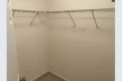 242 Drooping Leaf Lane, Lexington, SC 29072 - Photo 15