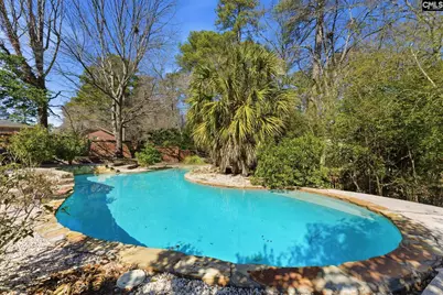 134 Brookspring Rd, Columbia, SC 29223 - Photo 45