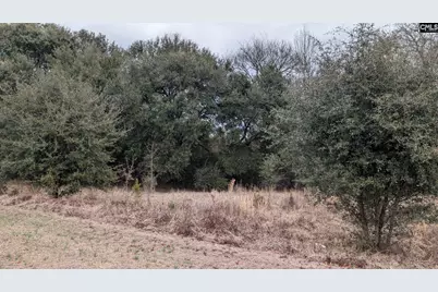 211 Ascot Drive, Camden, SC 29020 - Photo 7