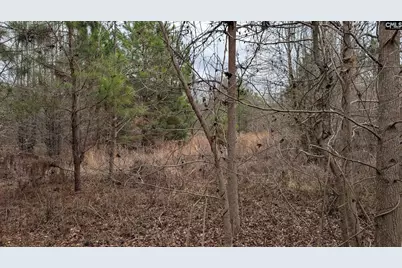 211 Ascot Drive, Camden, SC 29020 - Photo 15