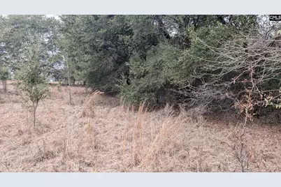 211 Ascot Drive, Camden, SC 29020 - Photo 5