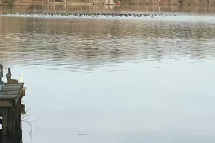 15 Bell-Tel Dr, Prosperity, SC 29127 - Photo 67