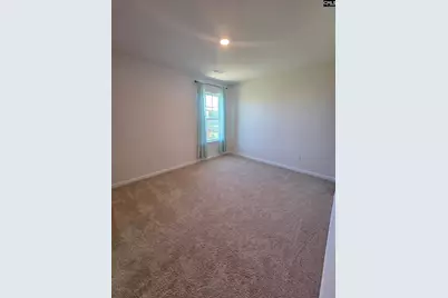 153 Rushton Drive, Chapin, SC 29036 - Photo 11