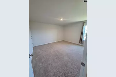 153 Rushton Drive, Chapin, SC 29036 - Photo 13