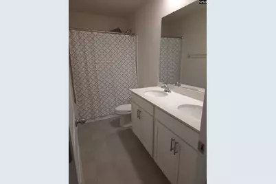 153 Rushton Drive, Chapin, SC 29036 - Photo 15