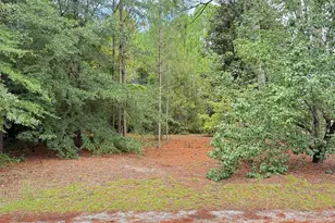 2413 Bermuda Hills Rd, Columbia, SC 29223 - Photo 1