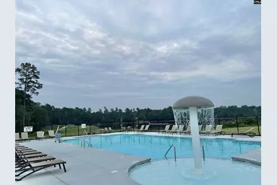 115 Cotton Cordell Road, Lexington, SC 29072 - Photo 45