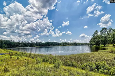 115 Cotton Cordell Road, Lexington, SC 29072 - Photo 39