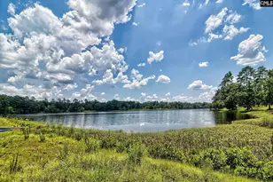 115 Cotton Cordell Rd, Lexington, SC 29072 - Photo 39