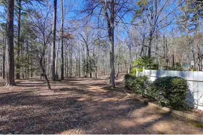 1221 Counts Ferry Road, Lexington, SC 29072 - Photo 87