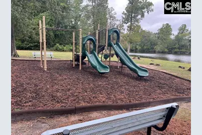 716 Wimbee Court, Blythewood, SC 29016 - Photo 43