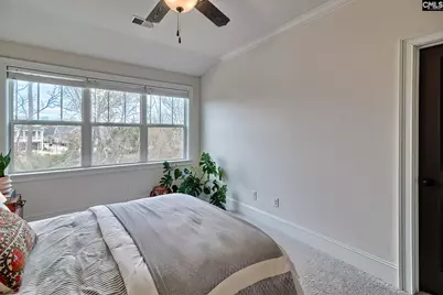 213 Coldwater Crossing, Lexington, SC 29072 - Photo 29