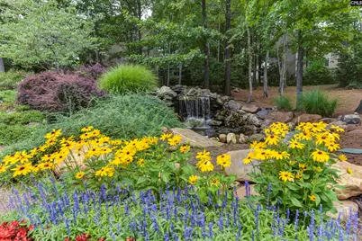 116 Tolbert Street, Lexington, SC 29072 - Photo 51