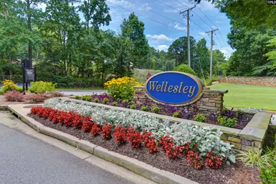 116 Tolbert Street, Lexington, SC 29072 - Photo 57