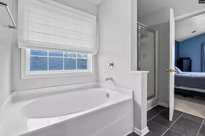 233 Red Barn Road, Lexington, SC 29072 - Photo 19