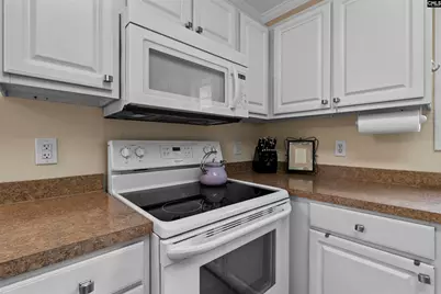 233 Red Barn Road, Lexington, SC 29072 - Photo 13