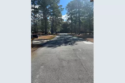 213 Green Dr, Darlington, SC 29532 - Photo 73