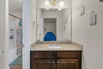 734 Autumn Shiloh Drive, Chapin, SC 29036 - Photo 35