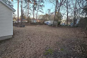 160 Cane Brake Dr, Columbia, SC 29223 - Photo 5