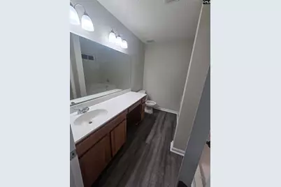 160 Cane Brake Drive, Columbia, SC 29223 - Photo 23
