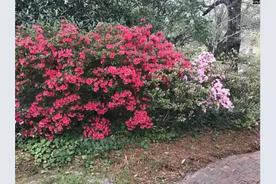 1822 Brevard Place, Camden, SC 29020 - Photo 47