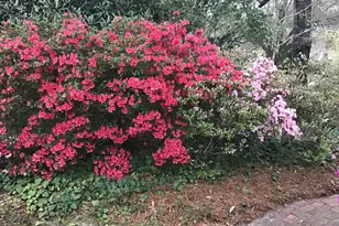 1822 Brevard Pl, Camden, SC 29020 - Photo 47