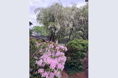 1822 Brevard Place, Camden, SC 29020 - Photo 51