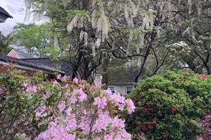 1822 Brevard Pl, Camden, SC 29020 - Photo 51