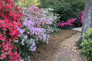 1822 Brevard Pl, Camden, SC 29020 - Photo 57