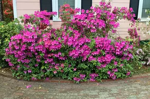 1822 Brevard Pl, Camden, SC 29020 - Photo 53