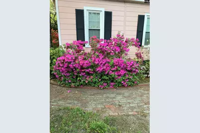 1822 Brevard Place, Camden, SC 29020 - Photo 55
