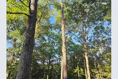 1540 Sewanee Drive, West Columbia, SC 29169 - Photo 9