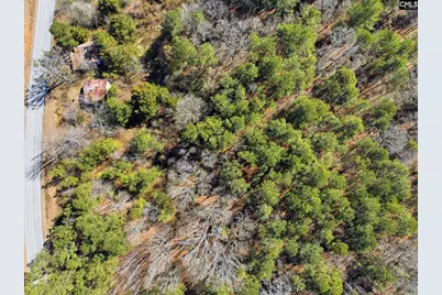 4382 Mt. Pilgrim Church Road, Prosperity, SC 29127 - Photo 9