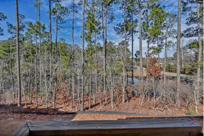 204 Sapphire Gem Lane, Elgin, SC 29045 - Photo 43