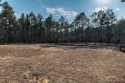 127 Leila Road, Gaston, SC 29053 - Photo 7