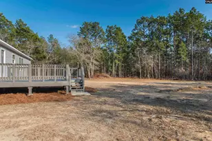 127 Leila Rd, Gaston, SC 29053 - Photo 11