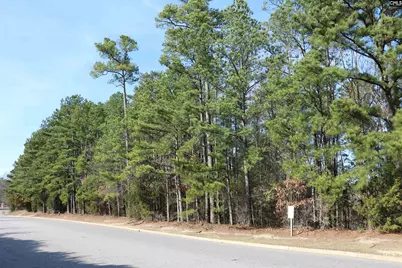 0 Woodcross Drive, Columbia, SC 29212 - Photo 3