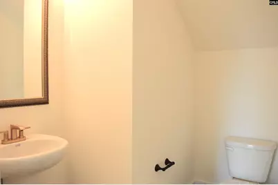 116 Locomotive (Lot 04) Lane, Irmo, SC 29063 - Photo 13