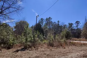 100 Robert James Rd, Eastover, SC 29044 - Photo 1