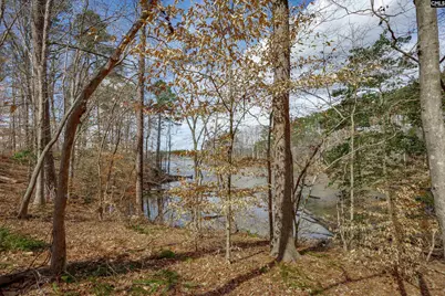 264 Lewie Road, Gilbert, SC 29054 - Photo 41