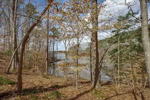 264 Lewie Rd, Gilbert, SC 29054 - Photo 41