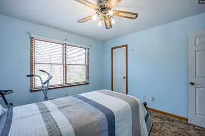 264 Lewie Road, Gilbert, SC 29054 - Photo 21