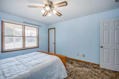 264 Lewie Road, Gilbert, SC 29054 - Photo 23