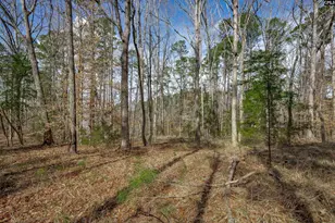 264 Lewie Rd, Gilbert, SC 29054 - Photo 43