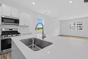 721 Ben Gunn Run, Gilbert, SC 29054 - Photo 17