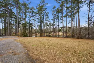 125 Mary Dr, Chapin, SC 29063 - Photo 77