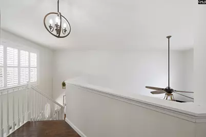 125 Mary Drive, Chapin, SC 29063 - Photo 39