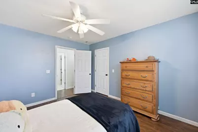 125 Mary Drive, Chapin, SC 29063 - Photo 53