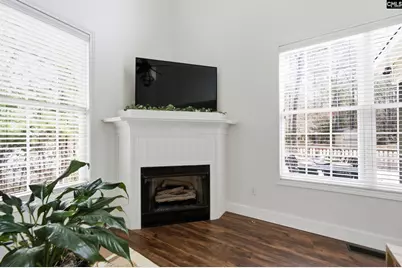 125 Mary Drive, Chapin, SC 29063 - Photo 15