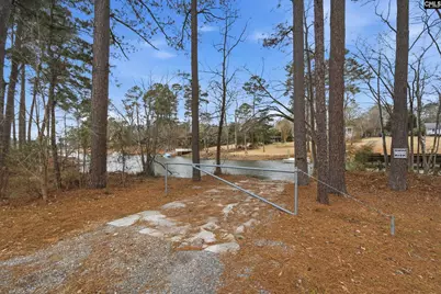 125 Mary Drive, Chapin, SC 29063 - Photo 79